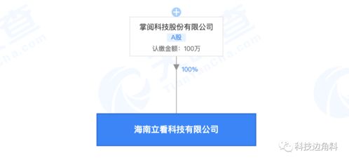 掌閱科技海南新設子公司 布局科技中介服務，注冊資本100萬元