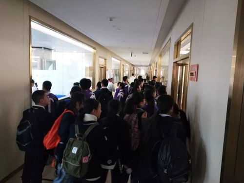 中華小當(dāng)家 魯能巴蜀中學(xué)初2021級(jí)社會(huì)大課堂的實(shí)踐與收獲