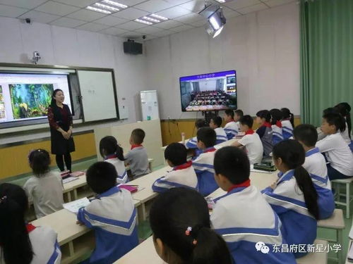 放飛想象，快樂共享 新星小學與大榮小學美術互動課堂紀實